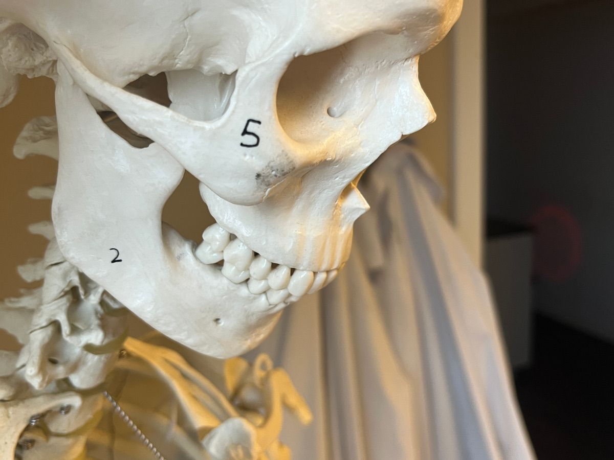 Lindbergs Laboratorium billede 3